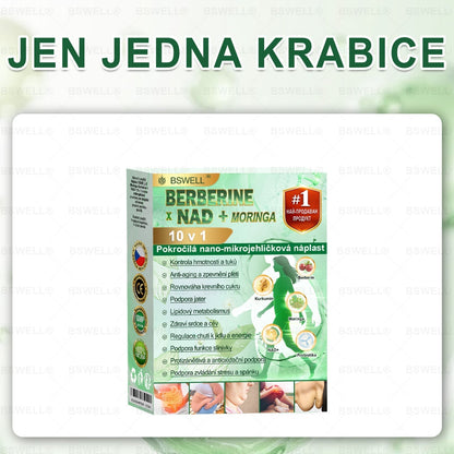 ✨ BSWELL® Nano mikrovpichová zeštíhlující náplast✨(Stačí použít pouze jednou denně – viditelné změny již za 28 dní) ✅Bezbolestná, dlouhotrvající, zaměřená na řešení cukrovky, obezity a kardiovaskulárních onemocnění