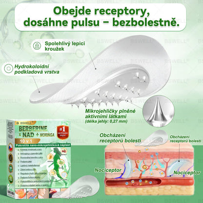 ✨ BSWELL® Nano mikrovpichová zeštíhlující náplast✨(Stačí použít pouze jednou denně – viditelné změny již za 28 dní) ✅Bezbolestná, dlouhotrvající, zaměřená na řešení cukrovky, obezity a kardiovaskulárních onemocnění