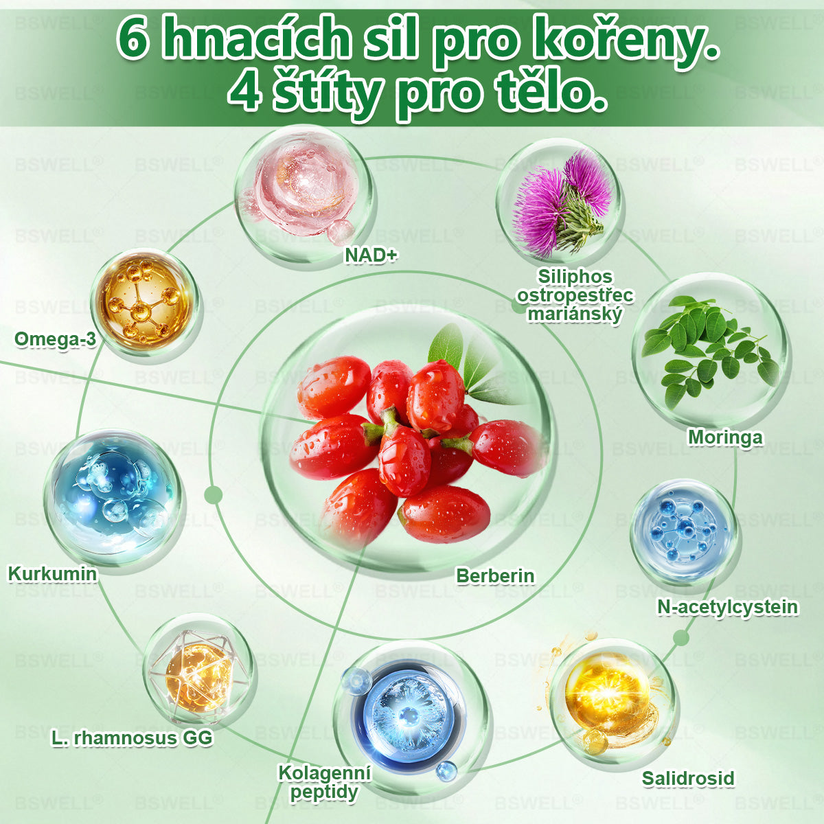 ✨ BSWELL® Nano mikrovpichová zeštíhlující náplast✨(Stačí použít pouze jednou denně – viditelné změny již za 28 dní) ✅Bezbolestná, dlouhotrvající, zaměřená na řešení cukrovky, obezity a kardiovaskulárních onemocnění