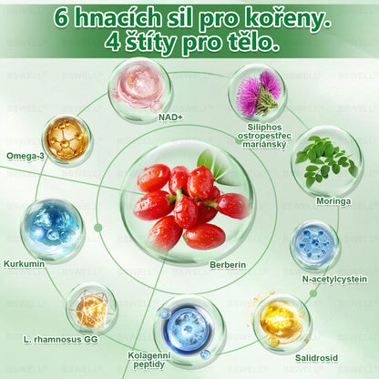 ✨ BSWELL® Nano mikrovpichová zeštíhlující náplast✨(Stačí použít pouze jednou denně – viditelné změny již za 28 dní) ✅Bezbolestná, dlouhotrvající, zaměřená na řešení cukrovky, obezity a kardiovaskulárních onemocnění